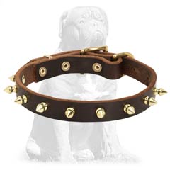 Reliable leather collar