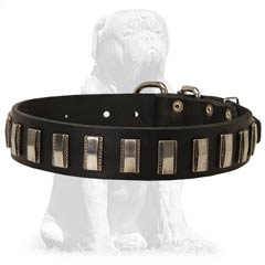 Durable shiny leather collar