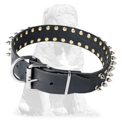 Safe leather dog collar with classic buckle