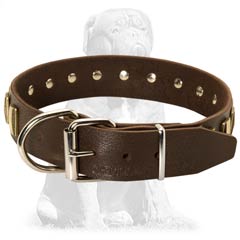 Durable buckled leather collar