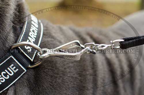Nylon Mastiff collar with nickel plated D-ring and buckle