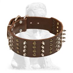 Decorated with studs and spikes leather collar