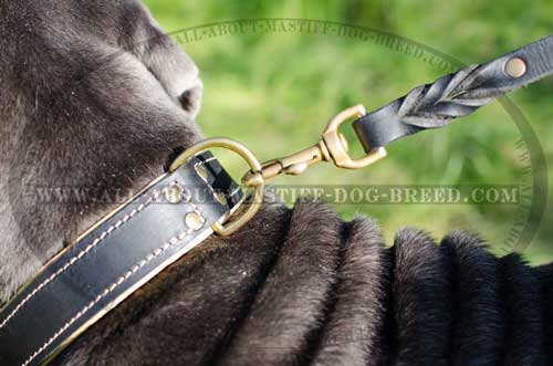 Non-rusting leather collar