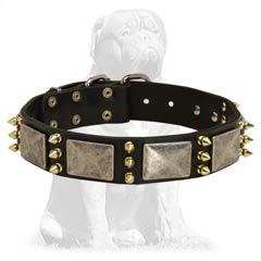 Leather collar with shiny spikes