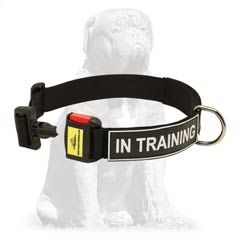 Special strong nylon collar with quick release buckle