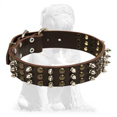 Decorated leather collar