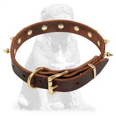 Rust proof  leather collar