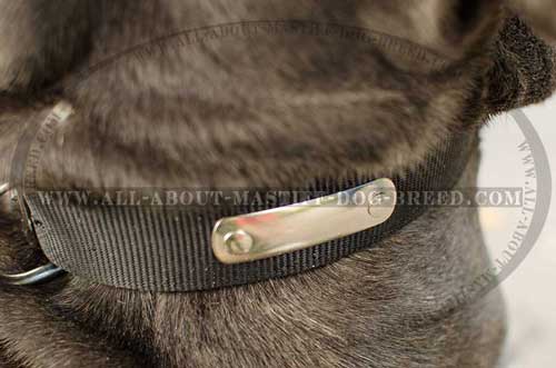 Mastino Napoletano nylon collar with name plate