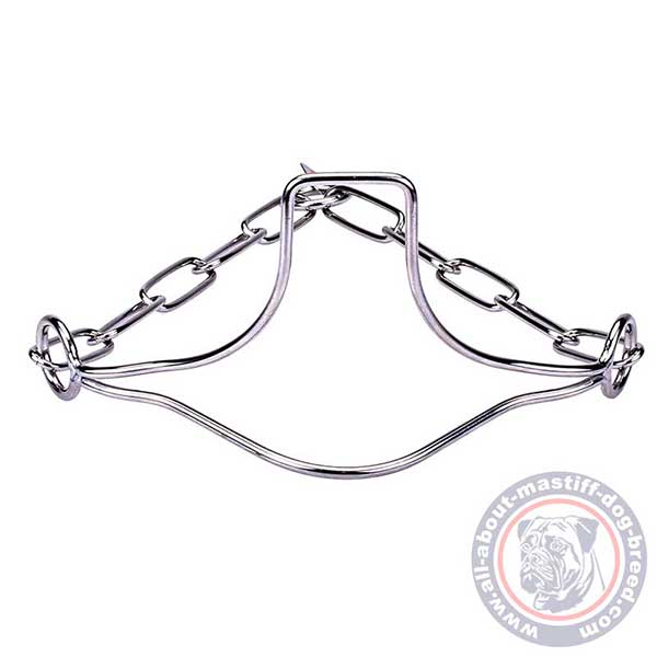 Sturdy steel show dog collar 