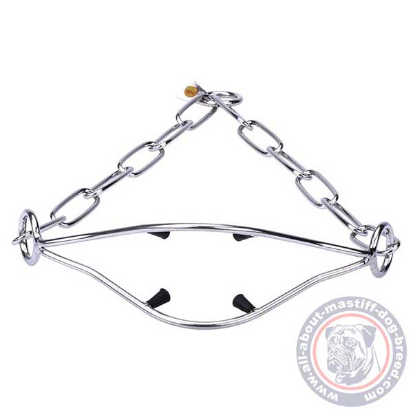Comfortable stainless steel collar for dog shows