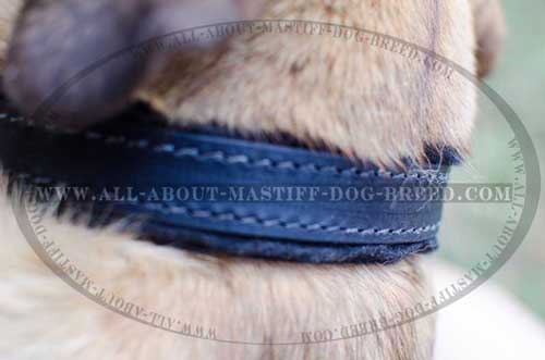 Agitation training dog collar made of thick leather