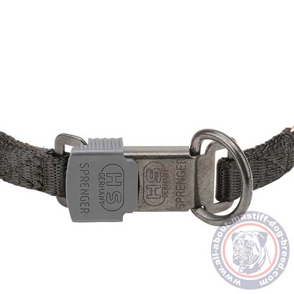 Reliable pinch dog collar with secure buckle