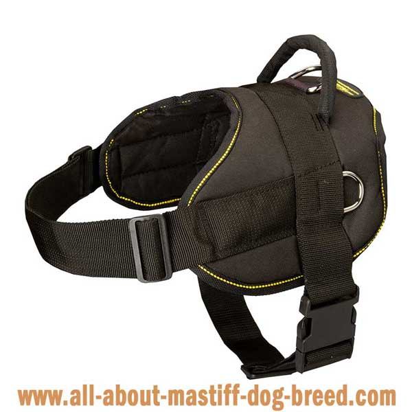 Multifunctional harness for Argentinian Mastiff with quick release buckle