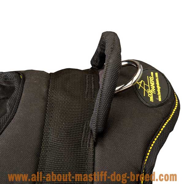 Lightweight nylon Argentinian Mastiff harness with handle