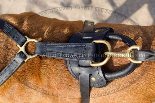 Back Plate of Leather Dog Harness for Training