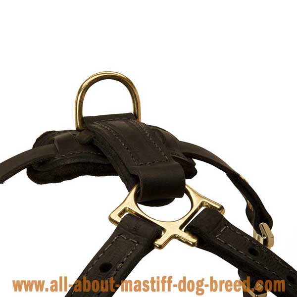 Bullmastiff Dog Harness Leather with Brass Fittings