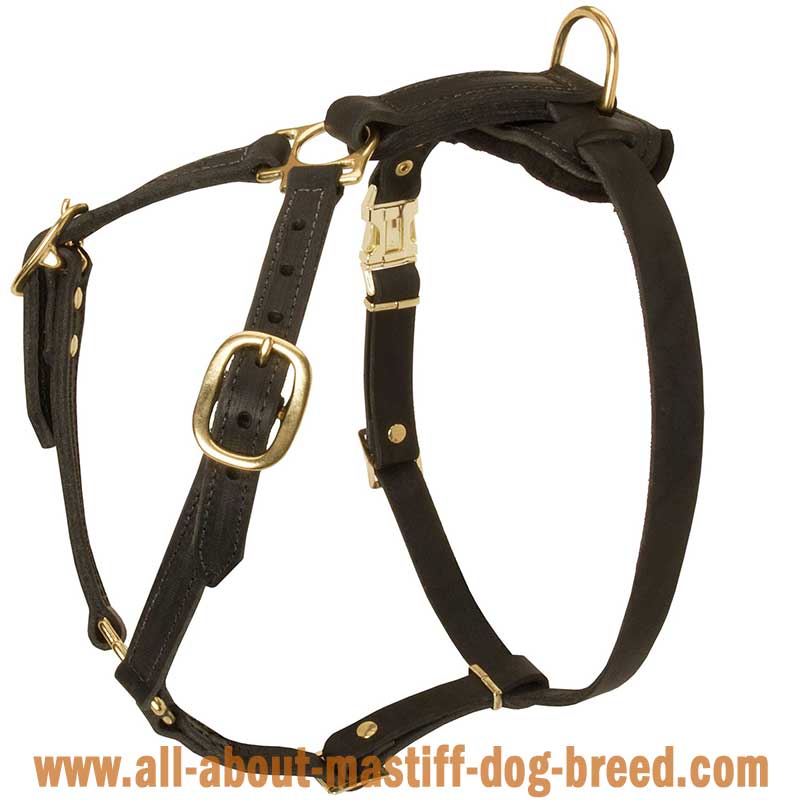 Dog Harness without Chest Plate [H7###1071 Leather tracking dog ...