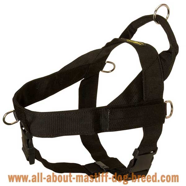  Nylon Dog Harness for Different Activities