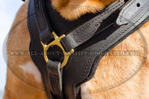 Soft Felt Padded Chest Plate of Leather Dog Harness