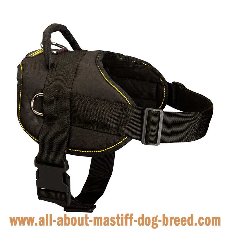 English Mastiff Nylon MultiPurpose Dog Harness for Tracking/Pulling
