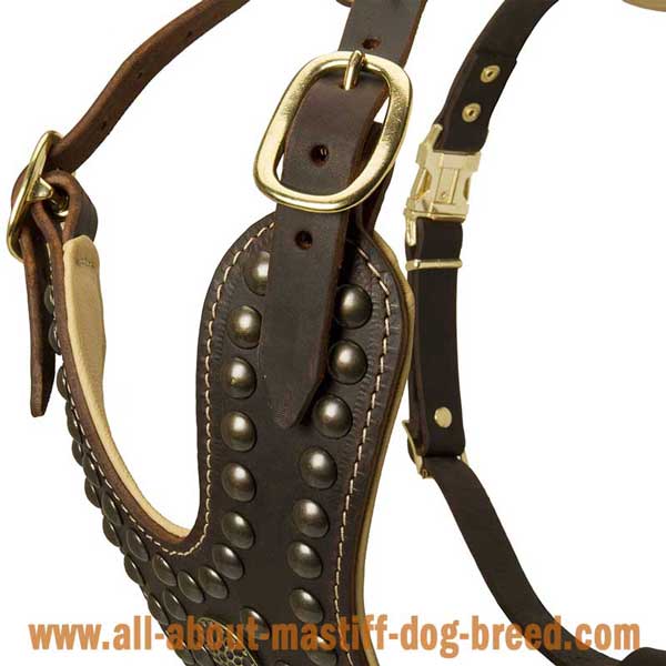 German Mastiff Leather Harness with Rust Resistant Hardware