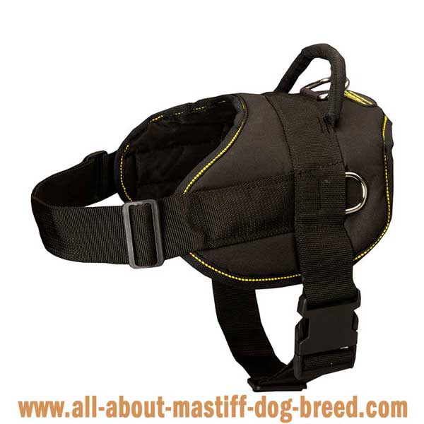 Super lightweight nylon German Mastiff harness with quick  release buckle
