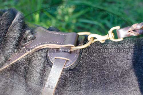 Leather dog harness with rust-proof fittings 