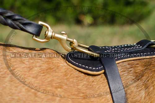 Reliable leather dog harness with brass fittings