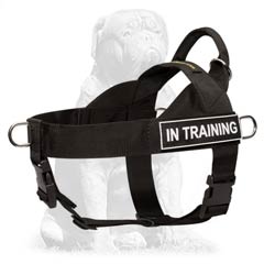 Mastiff Nylon Dog Harness for Training and Walking