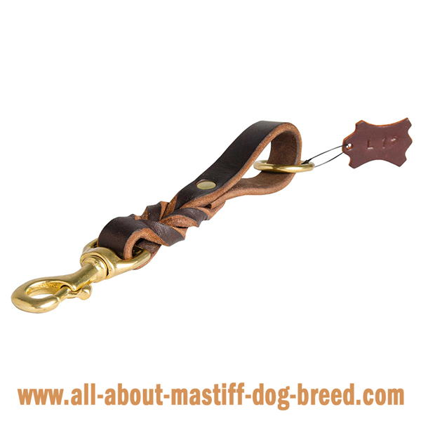 Braided leather leash for walks with your Mastiff