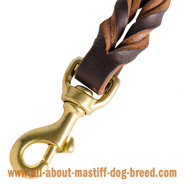 Superb leather leash with strong snap hook for Mastiff