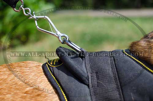 Nylon dog harness with reliable fittings