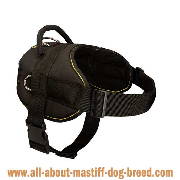 Superb nylon Tibetan Mastiff harness with wide straps