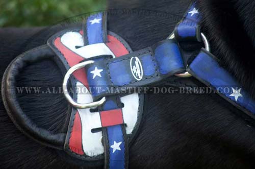 Hand-painted Leather Dog Harness for your Mastiff