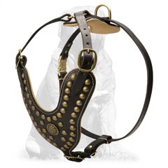 Handcrafted Fashion Leather Harness For Mastiff