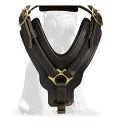 Leather Mastiff Harness Y-shaped Chest Plate for Comfortable Dog Training/Walking