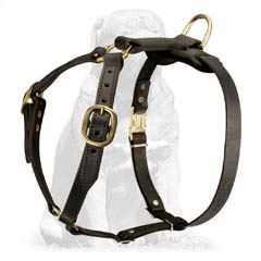 Mastiff Breed Leather Harness for Tracking Work