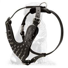 Mastiff harness for daily use