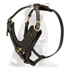 Durable Leather Dog Harness for Mastiff