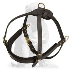Pulling Leather Mastiff Harness for everyday activities