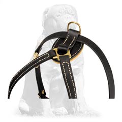 100% natural leather harness for Mastiffs