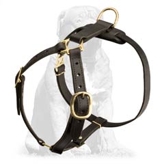 Light to Wear Leather Canine Harness for Mastiff Breed Tracking Work