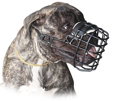 big dog muzzle Large wire basket dog muzzle for
big dogs