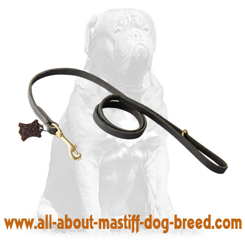 Leather dog leash equipped with brass snap hook 