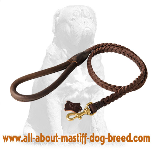 Easy to grab leather dog leash