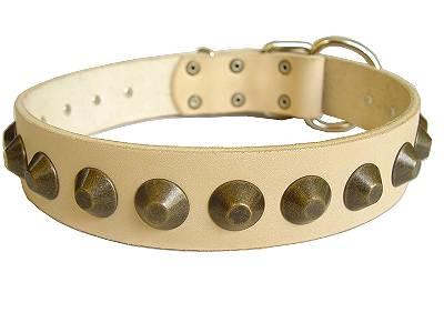Leather  Collars on Wide Leather Dog Collar   Mastiff Collar  C74 Brass Pyramids Collar