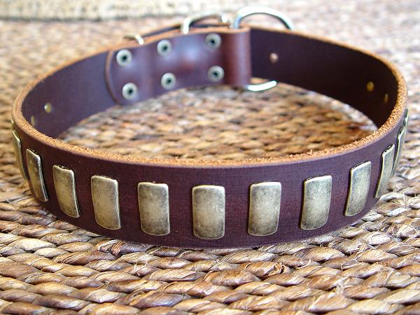 english mastiff collars handcrafted leather dog collar u0026amp plates dog collars 600x450