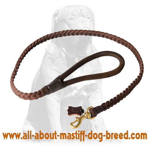 Reliable leather dog leash with brass snap hook