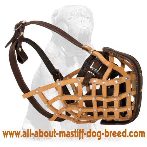 Leather dog collar safe and hypoallergenic