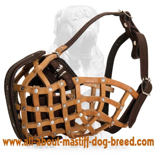 Attack training leather dog muzzle